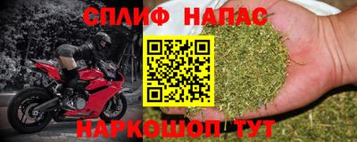 амф Кингисепп
