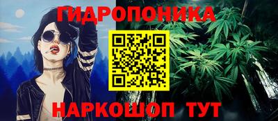 прущие крисы Кимры